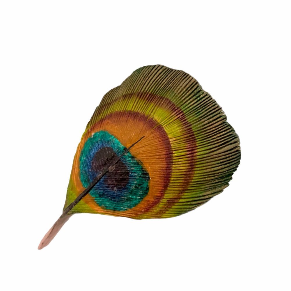 RARE: Vintage, Peacock Feather Brooch